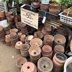 中古植木鉢　1個50円　3個以上お買い上げでオマケのお花差し上げ...