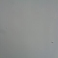 アイリスオーヤマ　162L 2ドア 冷凍冷蔵庫　AF162-W　2021年製　中古