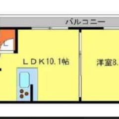 今なら19800円（初期費用）さらに翌月家賃0円💫白基調で開放感たっぷり🕊おすすめです🌟   - 不動産