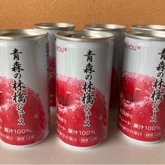 青森産　りんごの密閉搾りジュース　100％ ストレート　りんごジ...