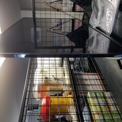 ‼️絶賛セール中‼️さらに値下げ‼️今がチャンス‼️4K対応 Hisense 4K 液晶テレビ 43V型 2020年製 取説・リモコン付