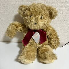 ぬいぐるみ クマ 熊 ベアー　SUPER BEAR 21  【j...