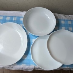 白いお皿　3種類