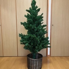 クリスマスツリー　高さ約140cm
