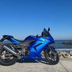 【ネット決済・配送可】Kawasaki Ninja250R 20...