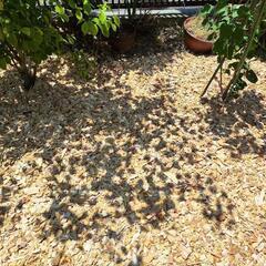 ガーデニング ウッドチップ 草抑え 庭 雑草