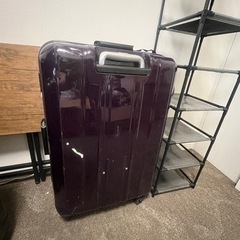 大きいスーツケース　　　