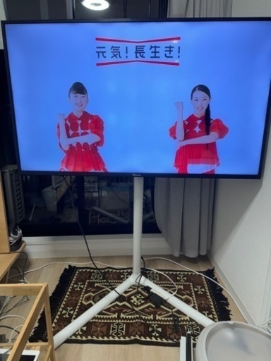 ハイセンス50V型テレビ+テレビスタンド