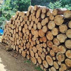 アカマツ薪（乾燥済）