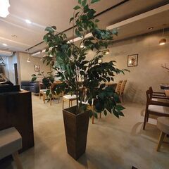 観葉植物 人工 フェイクグリーン  高さ約200cm