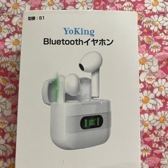 新品美品 Bluetooth ワイヤレスイヤホン