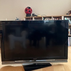 家電 テレビ 液晶テレビ