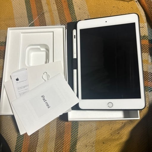 iPad mini5 256GBセルラーモデル