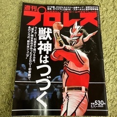 週刊プロレス雑誌セット