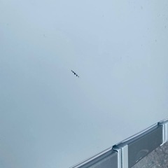 ♦️ TOSHIBA ノンフロン冷凍冷蔵庫【2015年製】GR-H43G