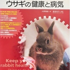 中古本 ✴︎　ウサギの飼育本4冊セット
