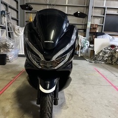 【ネット決済】pcx jf81