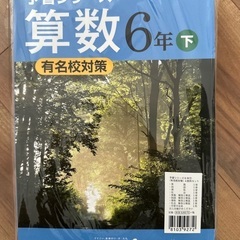 ⭐︎新品未開封⭐︎予習シリーズ4教科6年下問題集