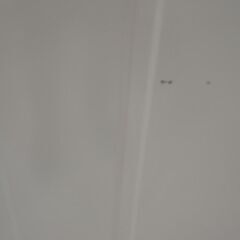 ★ジモティ割あり★ Panasonic 洗濯機 7.0ｋｇ 20年製 動作確認／クリーニング済み TJ6118