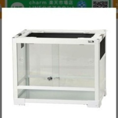 爬虫類ケージ　ヒョウモントカゲモドキ 