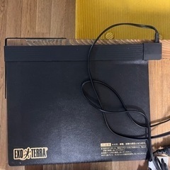 爬虫類ケージ　ヒョウモントカゲモドキ 