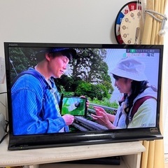 家電 テレビ 液晶テレビ