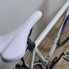 クロス/フラットバーロード Raleigh 2×10s