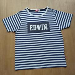 ボーダーTシャツ　150　青　EDWIN