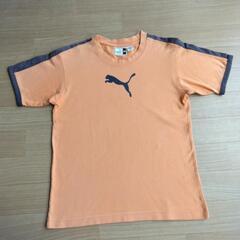 中古　Tシャツ　140　プーマ　PUMA