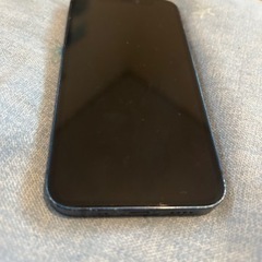 iPhone12 mini 本体動作問題無し🙇‍♂️