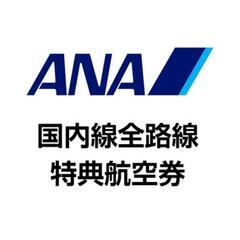 【ネット決済・配送可】ANA 国内線 航空券 片道16000円