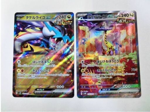 レア　ポケモンカードワイルドフォース　タケルライコex 2枚セット　SV5K　SAR095/071 RR053/071 　コレクターアイテム