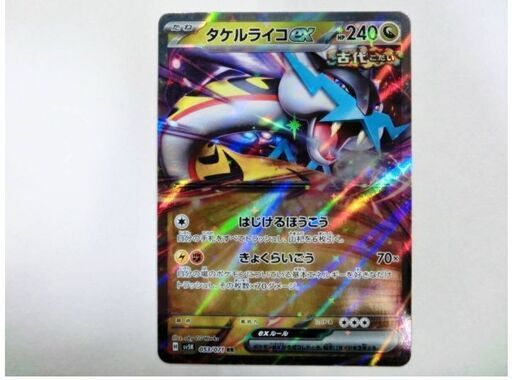 レア　ポケモンカードワイルドフォース　タケルライコex 2枚セット　SV5K　SAR095/071 RR053/071 　コレクターアイテム