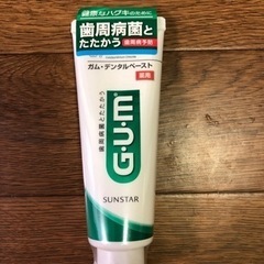 新品  GUM  歯磨き粉