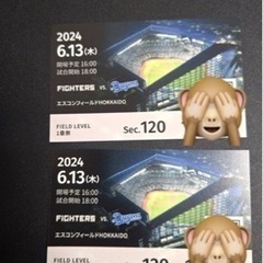 6/13日本ハムファイターズ試合チケット1枚