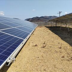 宮城県内　低圧太陽光発電所専門　除草剤散布