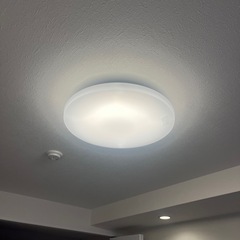 ⭐︎美品⭐︎HotaluX ホタルクス照明器具 LEDシーリングライト