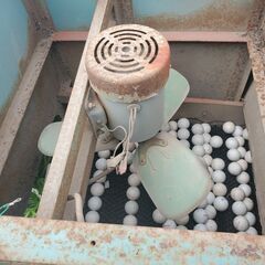 🉐ゴルフボール洗浄機 洗浄マシン 業務用、現物確認歓迎