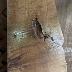 一枚板 ① 　樹種不明　テーブルなどに