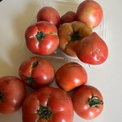 B品トマト6キロ