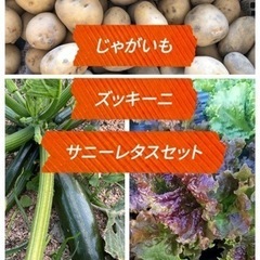 【5/30限定】野菜3種セット300円