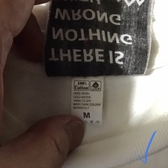 バンドTがアメリカで高騰中！超レア！カッコ良すぎ！ ジェフベックTシャツ