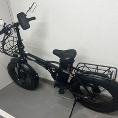FLY FISH A7  電動自転車　モペット