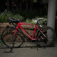 SPECIALIZED ALLEZ CAMPAGNOLO ZONDA C17 スペシャライズド アレー 
