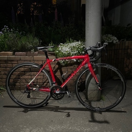 SPECIALIZED ALLEZ CAMPAGNOLO ZONDA C17 スペシャライズド アレー カンパニョーロ ゾンダ C17 サイズ52