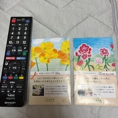 花の種　ハナビシソウ＆美女なでしこ