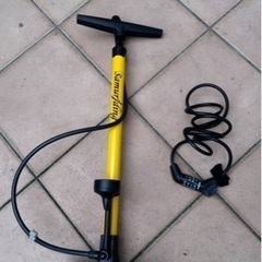 ジャイアントグラビエ ブルー💙