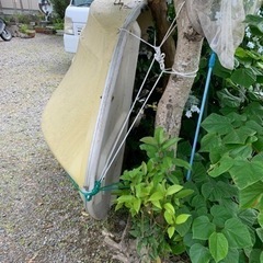 売り手が入院しまして、入院あけの対応だと思います。申し訳ありません。ボート　エンジンなし