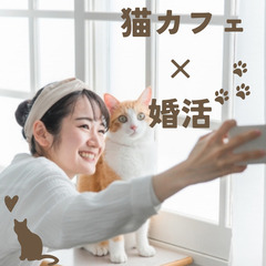 【少人数・趣味コン】 『阿佐ヶ谷×保護猫カフェ』での婚活イ…