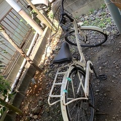 自転車 